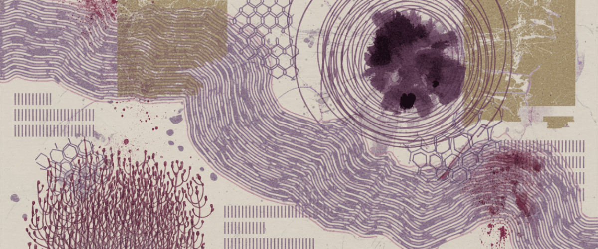 What should a small business do NOW to adopt AI safely?