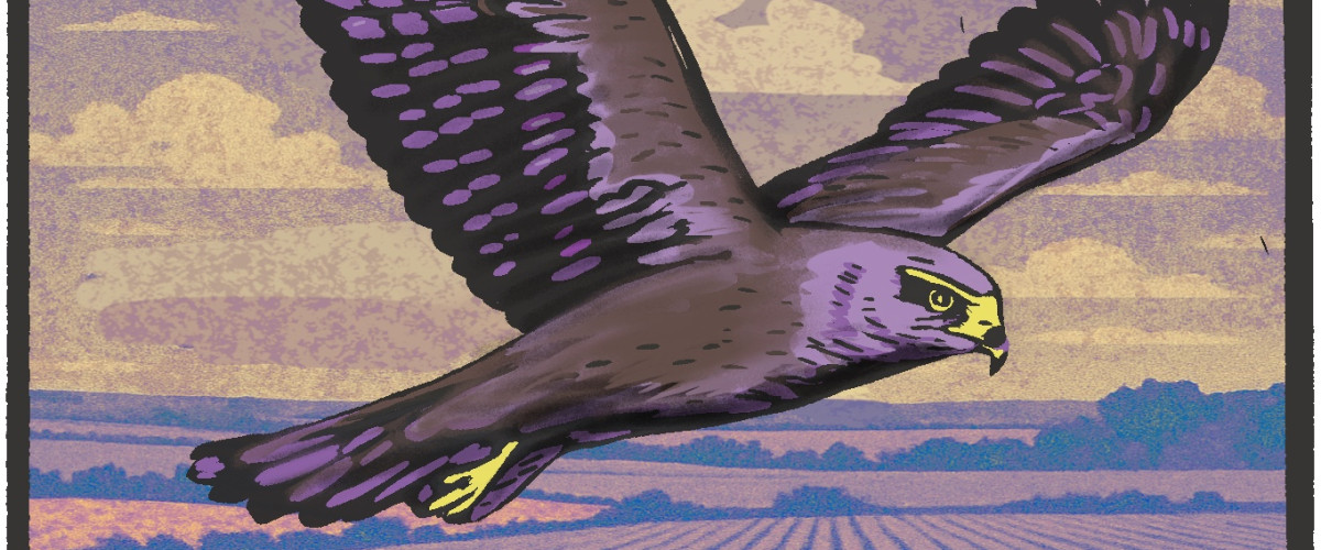 The Harrier Flies - AI generated brand music