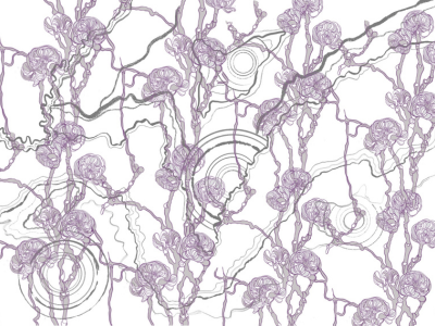 AI adoption & automation