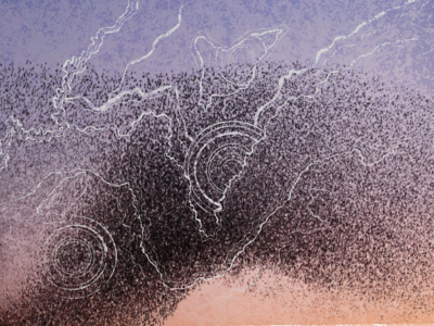 Software review & implementation