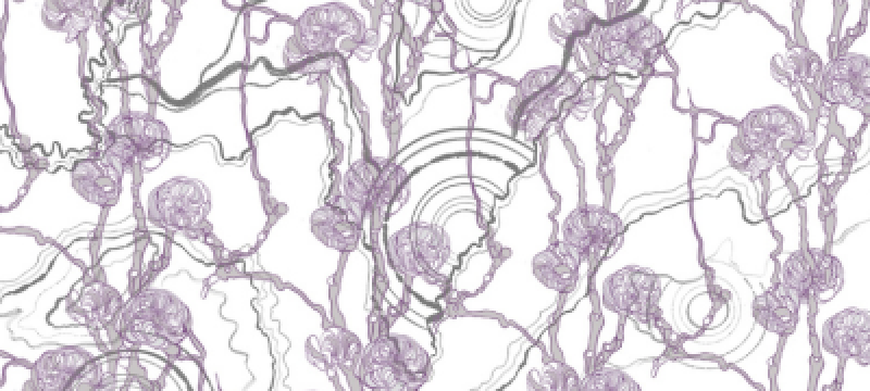 AI adoption & automation