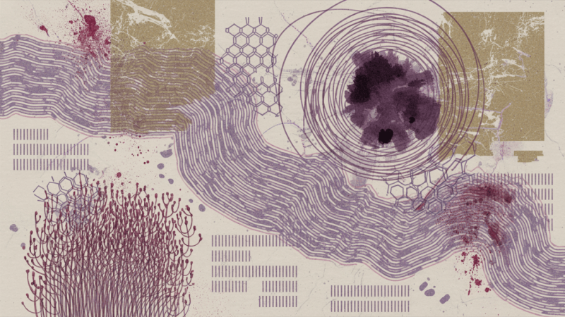 What should a small business do NOW to adopt AI safely?