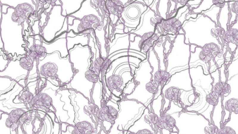 AI adoption & automation