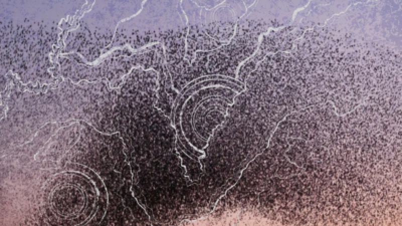 Software review & implementation